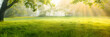 © john - Beautiful summer natural landscape with lawn with cut fresh grass in early morning with light fog. Panoramic spring background.