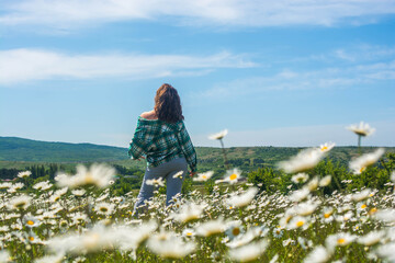 Sticker - Girl in a chamomile field