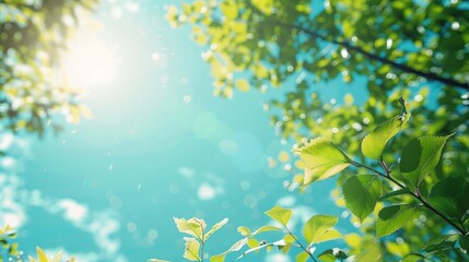 Sticker - Clear sky and fresh foliage under the bright daytime sun