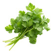 © Mehboob - Chopped green cilantro leaves on transparent background