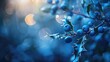© LukaszDesign - Blue holly under a gentle light