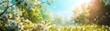 © Bi - Beautiful blurred spring background nature with blooming glade chamomile trees and blue sky on a sunny day