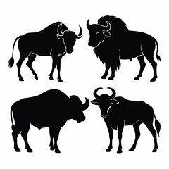 Wall Mural - Set of Buffalo animal black silhouettes vector on white background