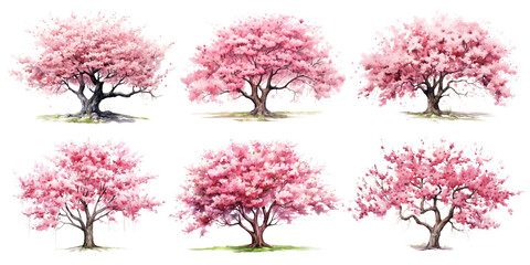 Wall Mural - Watercolor cherry blossom tree png cut out element set