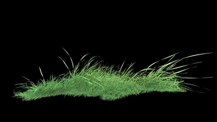 Wall Mural - grass wind noise loop on alpha channel. element footage place on footage or background and easier to
