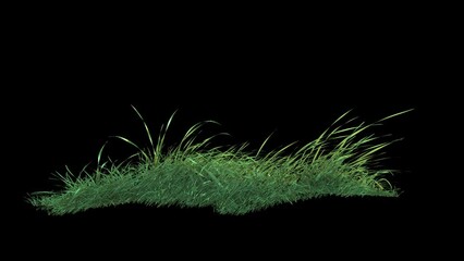 Wall Mural - grass wind noise loop on alpha channel. element footage place on footage or background and easier to