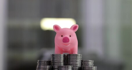 Wall Mural - Growing pink piggy bank on a stack of silver coins