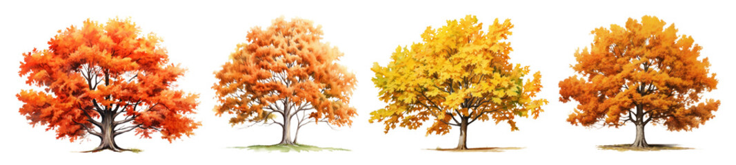Wall Mural - watercolor of Autumn maple tree set