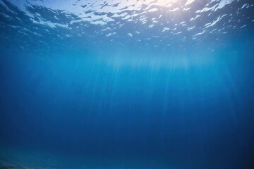 Canvas Print - underwater scene with bubbles