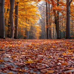 Sticker - Vibrant Autumn Forest Pathway with Colorful Fallen Leaves Covering the Ground Inviting Serene Natural Landscape