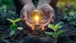 © Business Pics - renewable energy light bulb with green energy, Earth Day or environment protection Hands protect forests that grow on the ground and help save the world, solar panels