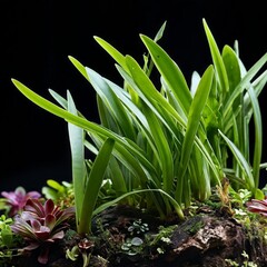 Sticker - a plant sitting in a bowl with green plants and grass