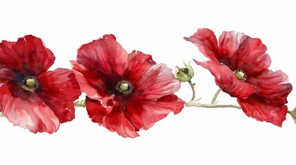 Wall Mural - Three red flowers are painted on a white background. The flowers are arranged in a line, with one in the middle and two on either side. The painting has a serene and peaceful mood
