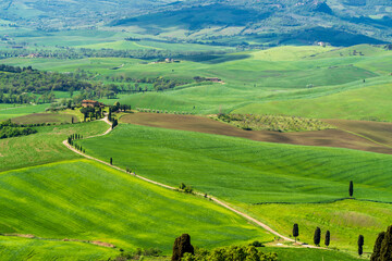 Wall Mural - Gladiator Road view from Pienza Town of Italy