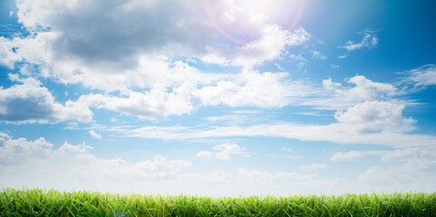 Wall Mural - a bright fresh sunny spring, summer blue sky background with white fluffy clouds and freshly cut gre