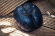 © Erika Valkovicova - Coco de Mer or double coconuts, the largest nut in the world endemic to Seychelles