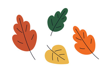 Wall Mural - Autumn leaf set. Yellow, orange, red and green oak and birch leaves collection. Fall tree foliage, dry seasonal plants, design elements. Flat vector illustration isolated on white background