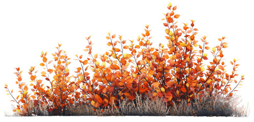 Wall Mural - Bush with Orange Leaves on Transparent Background, White