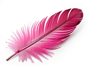 Wall Mural - pink feather isolated on
on white