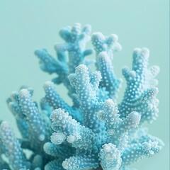 sea ​​and ocean corals.