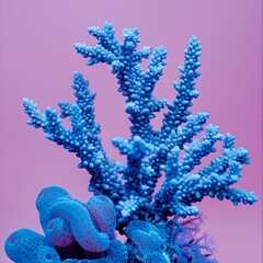 sea ​​and ocean corals.