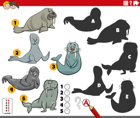 Wall Mural - finding shadows activity with cartoon seals and walruses