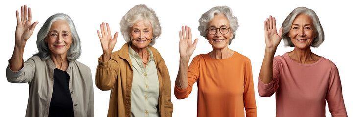 Poster - Senior woman portrait png on transparent background