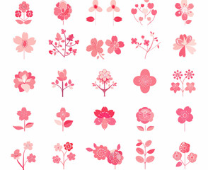 Wall Mural - a bunch of different types of flowers on a white background