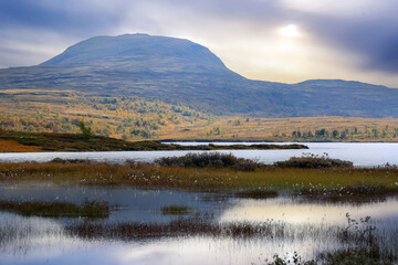 Poster - Autumn in the Forollhogna national park, Norway