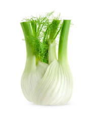 Wall Mural - Fresh fennel bulb isolated on white background. Close up