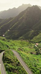 Wall Mural - Aerial view of green volcanic landscape with serpentine road in northern part of Tenerife, Canary islands, Spain. Mountain road in Tenerife at sunset.