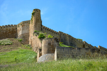 Wall Mural - At the walls of an ancient fortress. Derbent, Republic of Dagestan, Russia