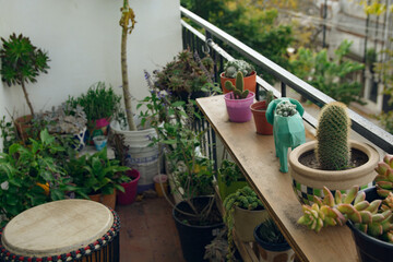 A balcony with a variety of potted plants, including a green elephant plant