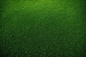 Canvas Print - green grass texture