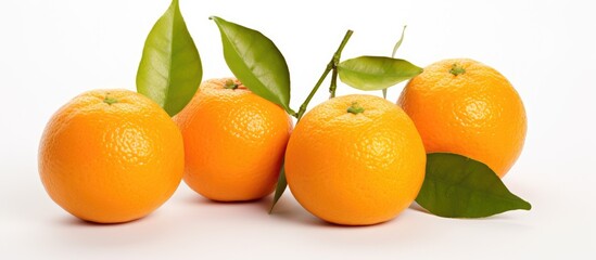 Poster - blur image of fresh and sweet mandarines orange over white background low light selective focus. Creative banner. Copyspace image