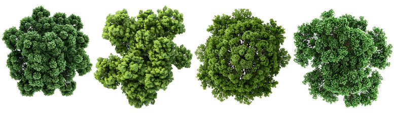 top view set of green trees isolated on transparent background, use for visualization in architectur