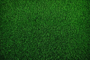 green grass texture