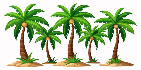 Set of Coconut palm tree isolated on white background