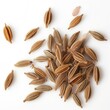 © rielart - cumin seed on a white background herb and vegetables