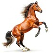 © Irina - Brown Horse Standing on Hind Legs. Generative AI