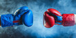 © Daniel - red and blue boxing gloves