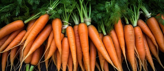 Fototapete - Carrots for sale at a farmers market with a copy space image.