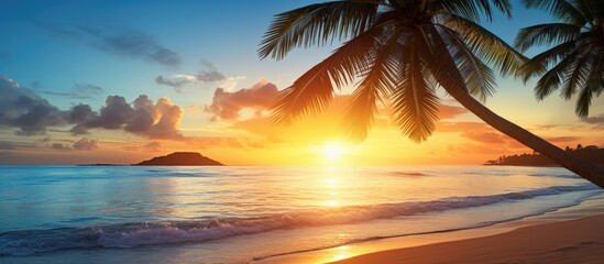 Poster - A tropical beach and blue sea at sunset provide a summer vacation copy space image.