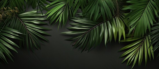 Poster - Capture a bird's-eye view of tropical palm leaves arranged for a flat lay composition with copy space image.