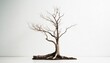 © Marko - dead tree on white background