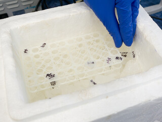 Canvas Print - Pencil case with test tubes in a box with ice. Cooling experimental samples in a test tube on ice.