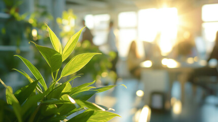 Wall Mural - blurred background of employees in an office setting with plants and sunlight, emphasizing a commitm