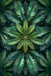 © visoot - Marijuana pattern symmetrical. Generative AI.