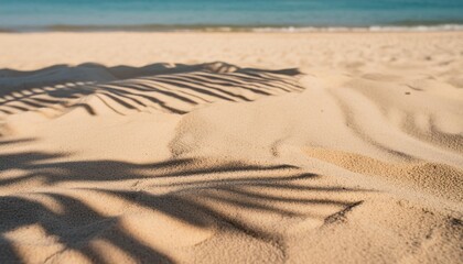 Wall Mural - selective focus of summer and holiday backgrounds concepts with shadow of coconut leaf on clean sand beach