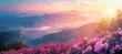 © SKIMP Art - A panoramic view of the misty mountains, with pink wildflowers blooming in front and a colorful sunrise casting light on them Generative AI